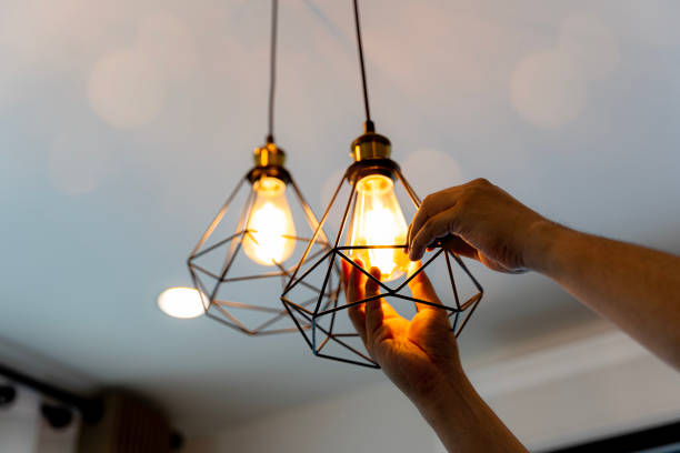 Best Electric Panel Repair  in North Merritt Island, FL